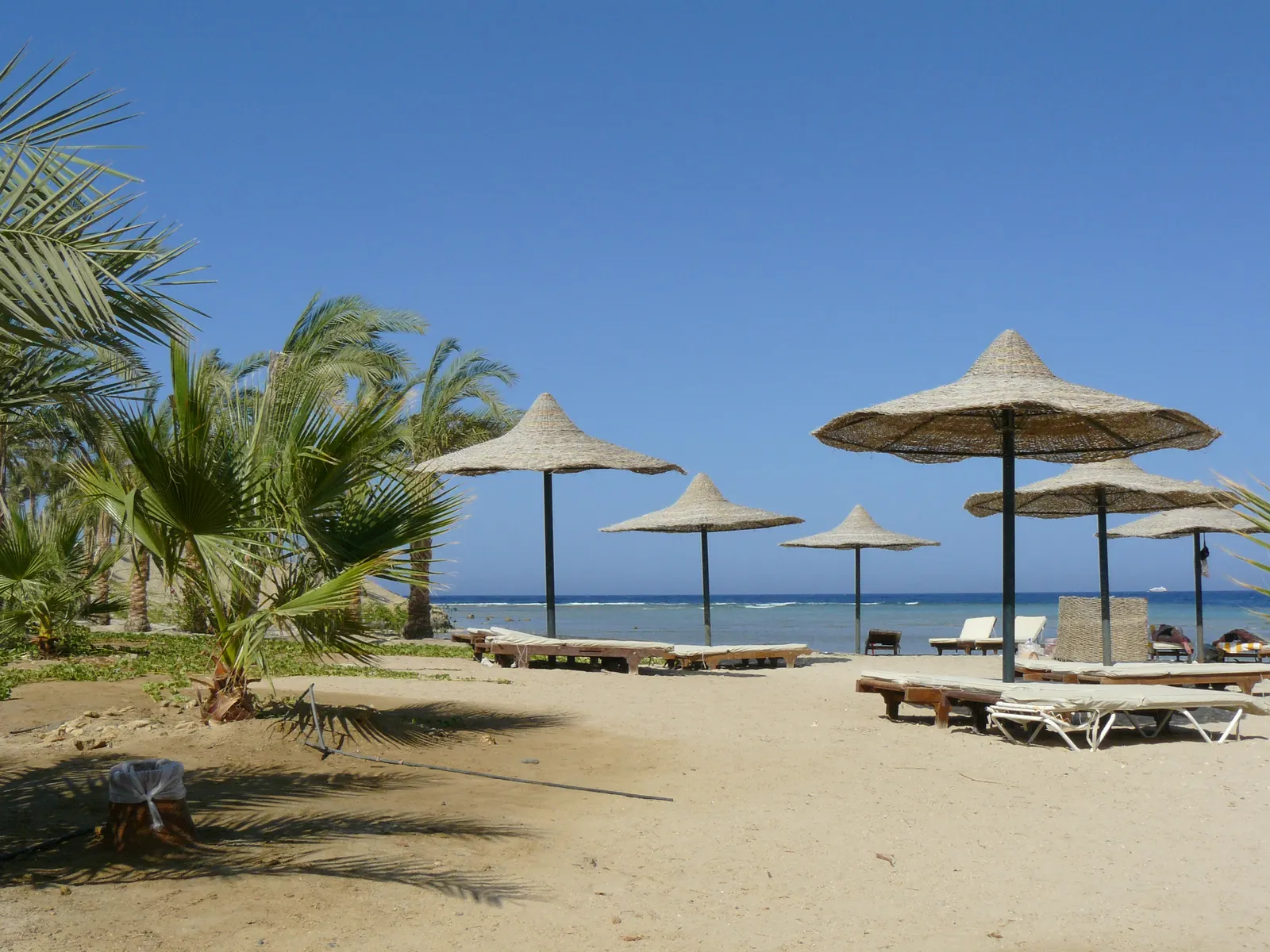 Is Marsa Alam veilig? Palmen, parasols en ligbedden op het strand van Marsa Alam aan de Rode Zee